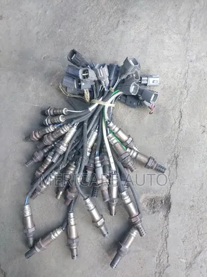 Oxygen Sensor