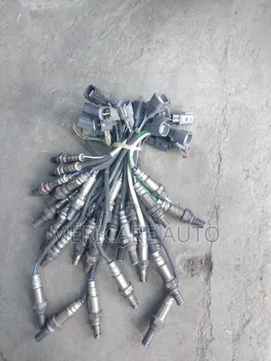 Oxygen Sensor