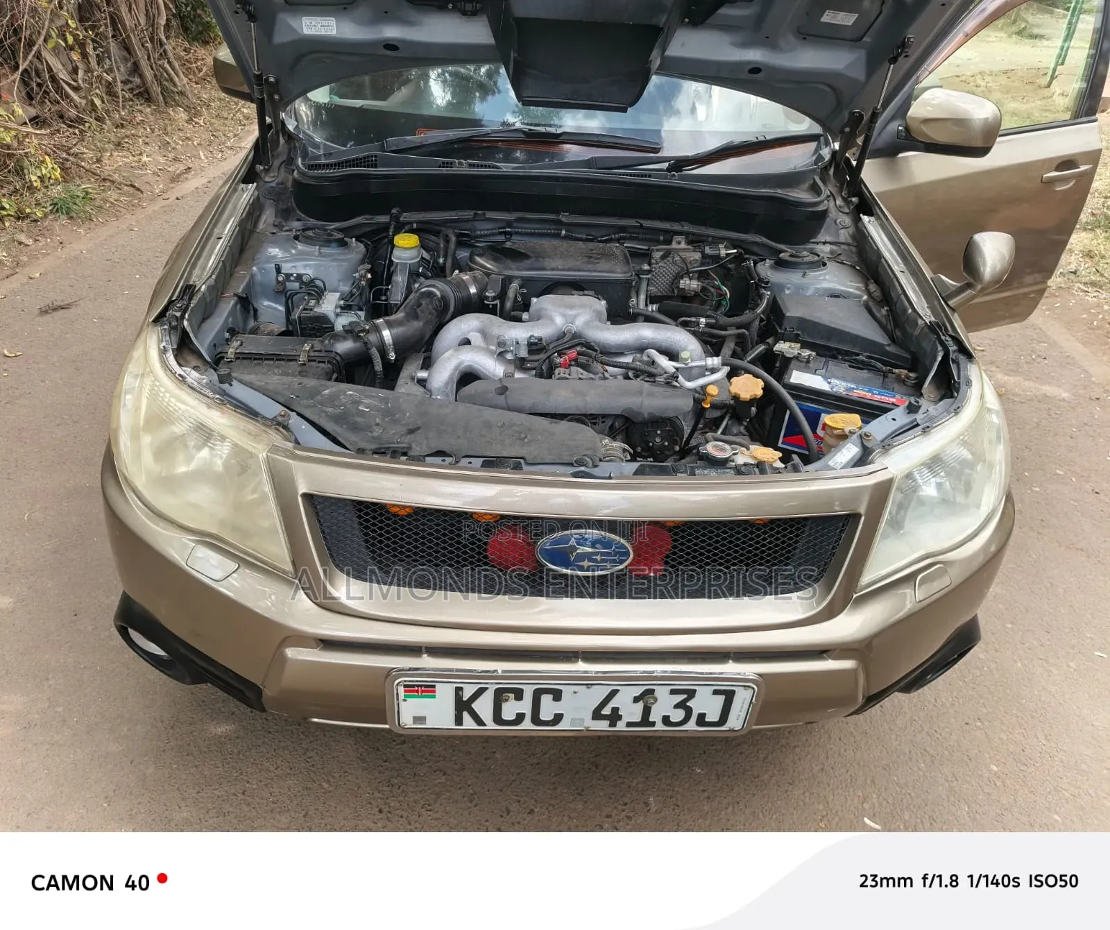 Subaru Forester 2009 Gold