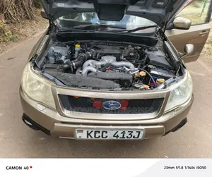 Subaru Forester 2009 Gold