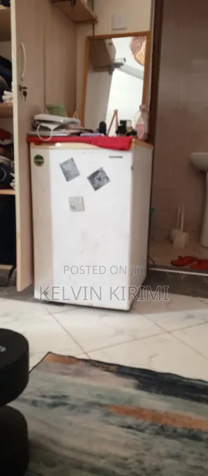 Samsung (Cfc Free) Fridge