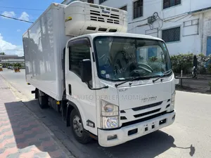 Isuzu Elf Freezer Automatic 2019