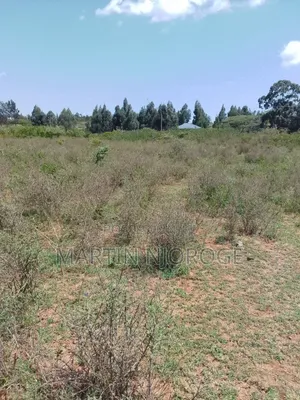 5 Acres Nasu