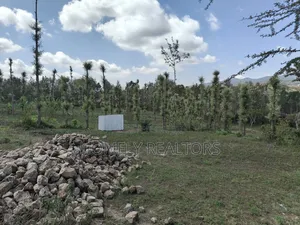 Residential Eighth Acre Plot for Sale in Ngong, Ol Keri. Nice Views