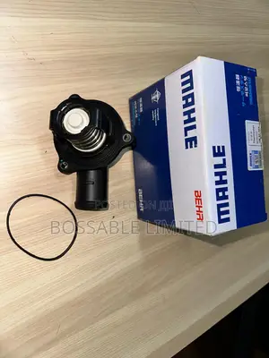 L - Thermostat, Coolant