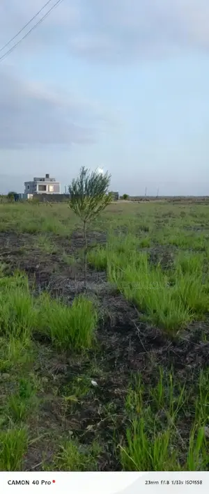 Two 50 by 100 Land Plot at Kamakis, Ready Title.Residential Area