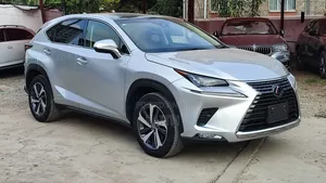 Lexus NX 300h AWD 2019 Silver