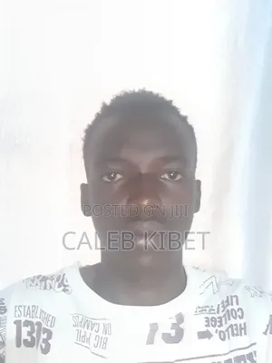 Free Lancer