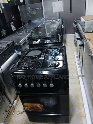 Roch 50cm*55cm 3g +1e Electric Oven Standing Cooker