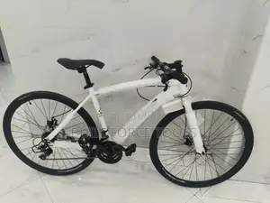 Premier Jing Pin Bike Size 27