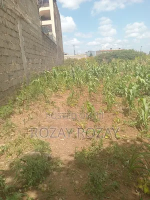 Bypass Plots ( Ruiru Bypass)