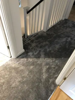 Executive Carpet Flooring – Vip Quality
