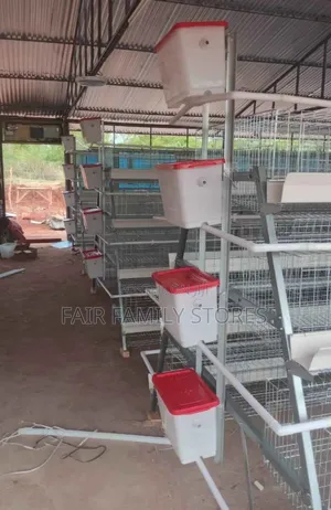 128 Birds Poultry Cage (Layer/Broiler Cage System)