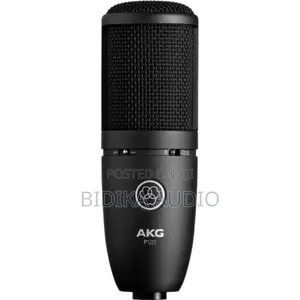 Akg P120 Cardioid Large-Diaphragm Condenser Microphone