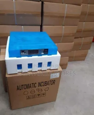 Egg Incubator 64 Egg
