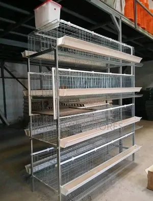 Chicken Cages 128mature Capacity