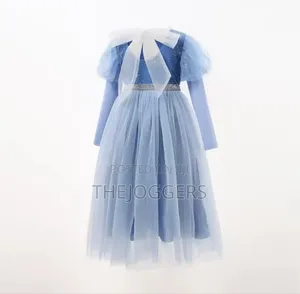 Blue Disney Princess Elsa Costume Dress Snowflake Prints
