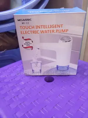Intelligent Electric Water Pump