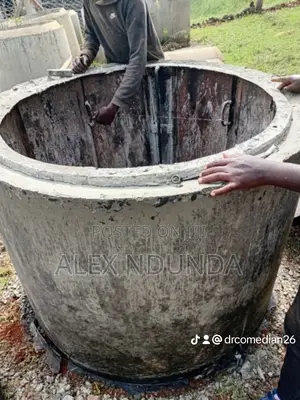 Dusting and Casting Caravart