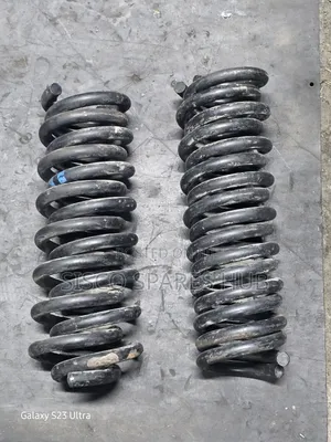 Rear Coil Springs Probox