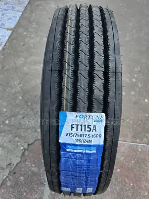 215 /75 R17. 5 Fortune Tyres (Ft115a)