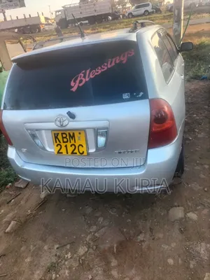 Toyota Corolla Fielder 2004 Silver
