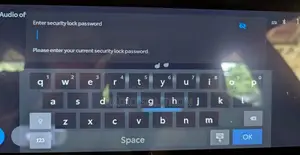 Toyota Land Cruiser 250 Radio Code Error Solution 2022-2025