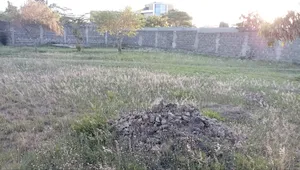 Quater Acre Prime Developed Land Utawala