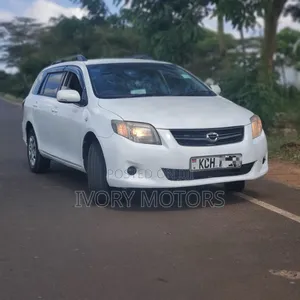 Toyota Corolla Fielder 2009 White