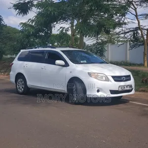 Toyota Corolla Fielder 2009 White