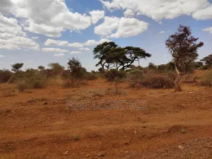 5 Acres Land in Kajiado 50 Meters From the Main Road