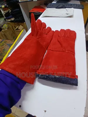 Padded Palms Gloves Leather