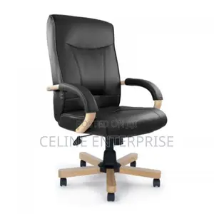 Executive Director Office Chair