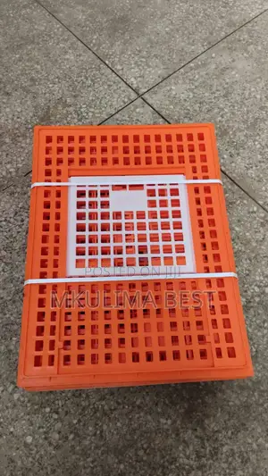 Chicken Transport Crates
