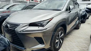 Lexus NX 300h 2019 Silver