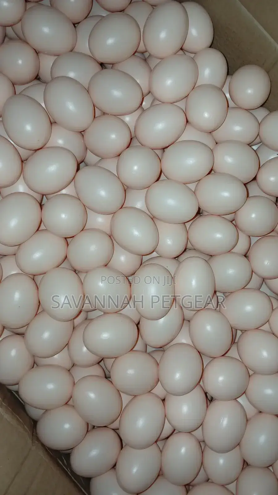 Dummy/Egg-Shaped Art Objects Also Used in Chicken Husbandry