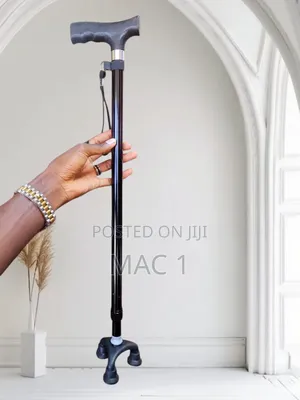 Stability Walking Stick