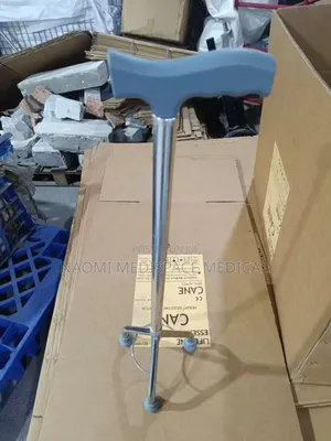 Stainless Steel Tripod Cane