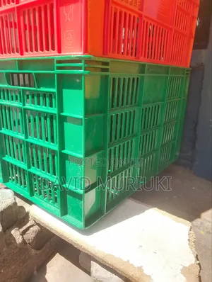 Ken Poly Big Sizes Crate