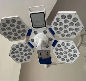 Ceiling Mount Theatre Light-Led