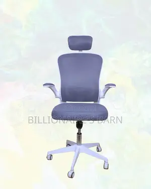 Ergonomic Work Chair | Posture Support, Neck Support Headrest