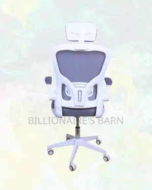 Ergonomic Work Chair | Posture Support, Neck Support Headrest