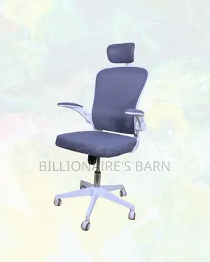Ergonomic Work Chair | Posture Support, Neck Support Headrest