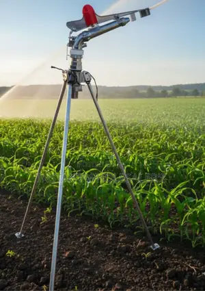 Rain Gun Sprinkler 2" 50m Radius