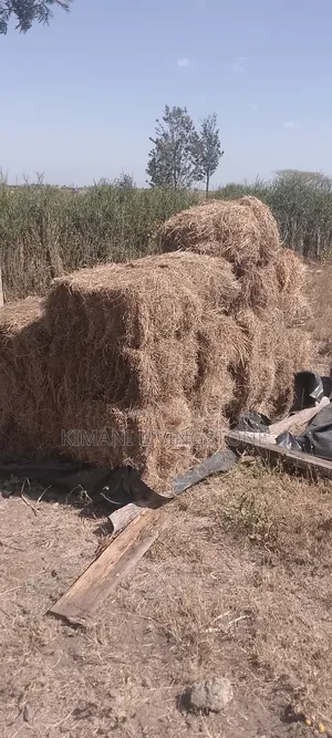 Clean Baled Grass.