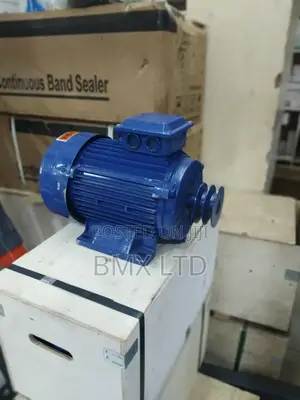 Rugged Three Phase Induction Motor for Heavy Machinery