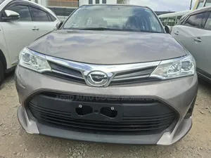 Toyota Axio 1.5 X 2WD 2019