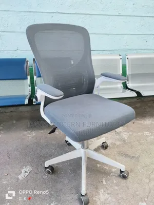 Ergonomic Office Chair