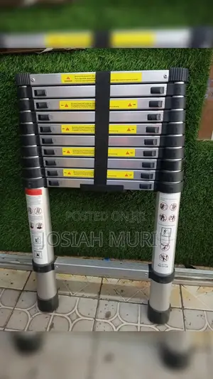 3.8m Telescopic Ladder
