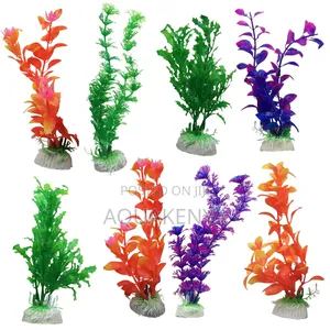 Aquarium Plants for Decor
